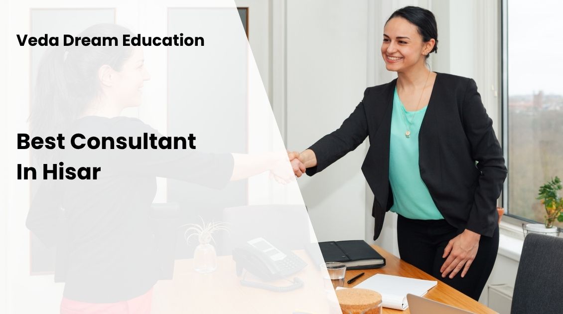Best Consultant In Hisar